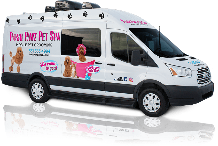 Posh Pawz Pet Spa Let The Groomer Come To You 